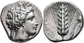 LUCANIA. Metapontion. Circa 340-330 BC. Nomos (Silver, 20 mm, 7.72 g, 6 h). Demeter to right, wearing wreath of grain ears, pendant earring and simple...