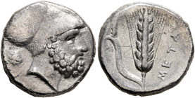 LUCANIA. Metapontion. Circa 340-330 BC. Didrachm or Nomos (Silver, 20 mm, 7.65 g, 3 h), Ami..., magistrate. Bearded head of Leukippos to right, wearin...