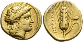LUCANIA. Metapontion. Time of Alexander the Molossian, circa 334-331/0 BC. Tetrobol or Third Stater (Gold, 13 mm, 2.58 g, 10 h), Achaian standard. Hea...