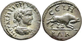 MYSIA. Parium. Severus Alexander, 222-235. 'As' (Bronze, 22 mm, 5.81 g, 1 h). IMP CAEƧ L ƧEP ƧEV ALE[XANDER] Laureate and cuirassed bust of Severus Al...