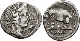 Q. Caecilius Metellus Pius, 81 BC. Denarius (Silver, 18 mm, 3.91 g, 9 h), Rome. Diademed head of Pietas to right; before, stork standing right. Rev. Q...