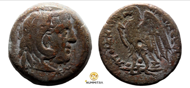 Ptolemaic Kingdom. Ptolemy II. Philadelphos. (260-246 BC). Æ Obol. (22mm, 10,07g...