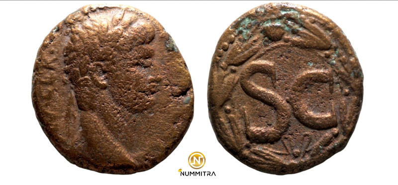 Claudius. (41-54 AD). Bronze Æ. (25mm, 12,33g) Seleucis and Pieria, Syria. Obv: ...