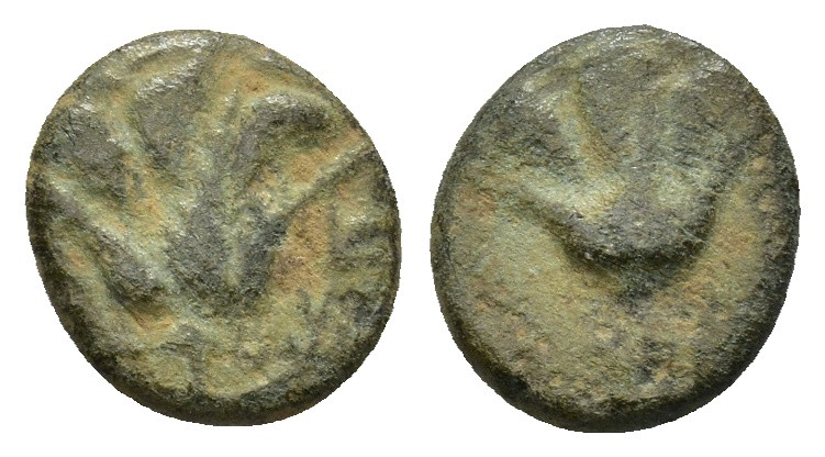 Islands of Caria, Rhodes, 394-304 BC, AE, (0.86 Gr. 10mm.). 
Rose flanked by P-O...