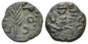 JUDEA: Porcius Festus, 59-62 AD, AE Prutah Jerusalem (1.5 Gr. 14mm.)
Palm branch, 
Rev. Within wreath
