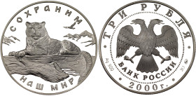 Russian Federation 3 Roubles 2000 ММД