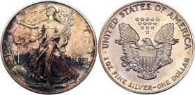 United States 1 Dollar 1991