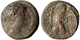 PTOLEMAIC KINGS of EGYPT. Berenike II, wife of Ptolemy III, circa 244/3-221 BC. Ae (bronze, 3.71 g, 14 mm), uncertain mint on the north Syrian coast. ...