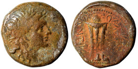 SELEUKID KINGS of SYRIA. Antiochos I Soter, 281-261 BC. Ae (bronze, 5.91 g, 18 mm), Antioch. Laureate head of Apollo to right. Rev. ΒΑΣΙΛΕΩΣ - ΑΝΤΙΟΧΟ...