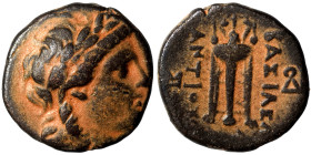 SELEUKID KINGS of SYRIA. Antiochos II Theos, 261-246 BC. Ae (bronze, 4.20 g, 17 mm), Sardes. Laureate head of Apollo to right. Rev. ΒΑΣΙΛΕΩΣ - ΑΝΤΙΟΧΟ...