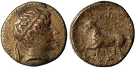 SELEUKID KINGS of SYRIA. Seleukos II Kallinikos, 246-225 BC. Ae (bronze, 2.96 g, 15 mm). Diademed head to right. Rev. BAΣΙΛΕΩΣ [ΣΕΛΕΥΚΟΥ], horse pranc...