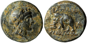 SELEUKID KINGS of SYRIA. Alexander I Balas, 152-145 BC. Ae (bronze, 3.08 g, 15 mm), Antioch. Head of young Dionysus right, wreathed with ivy. Rev. BAΣ...