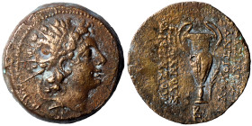 SELEUKID KINGS of SYRIA. Antiochos VI Dionysos, 144-142 BC. Ae (bronze, 8.32 g, 21 mm), Apameia. Diademed and radiate head of Antiochos VI to right. R...