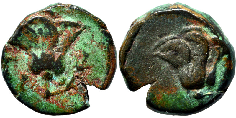 CARIA. Rhodes. Circa 205-190 BC. Ae (bronze, 1.37 g, 10 mm). Rose with bud to ri...