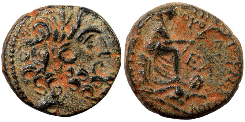 SYRIA, Seleucis and Pieria. Antioch. Pseudo-autonomous issue, time of Augustus, ...