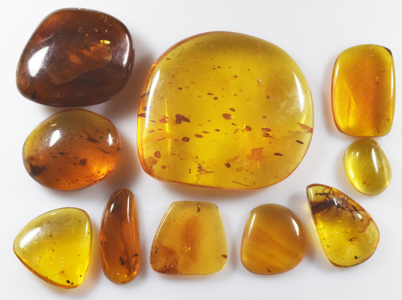 A group of ten pieces of Burmese amber with insect; Cretaceous layer (> 66 milli...