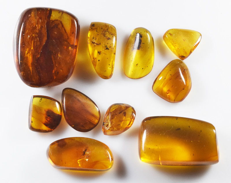 A group of ten pieces of Burmese amber with insect; Cretaceous layer (> 66 milli...