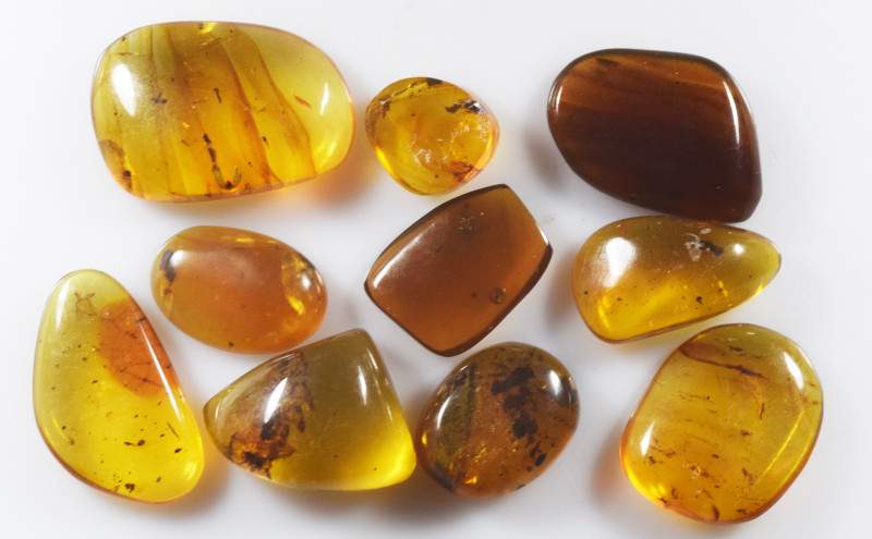 A group of ten pieces of Burmese amber with insect; Cretaceous layer (> 66 milli...