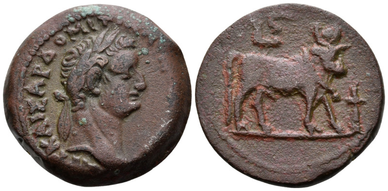 EGYPT. Alexandria. Domitian, 81-96. Diobol (Bronze, 23,5 mm, 10.30 g, 12 h), LϚ ...