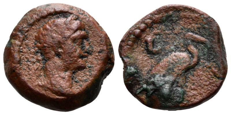 EGYPT. Alexandria. Domitian, 81-96. Dichalkon (Bronze, 12 mm, 1.90 g, 12 h), dat...