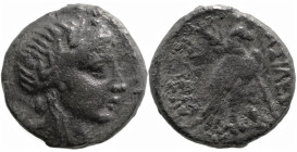 Greek
SELEUKID KINGDOM. Achaios, Usurper (220-214 BC). Sardes.
AE Bronze (18.5mm 5.16g)
Obv: Laureate head of Apollo right.
Rev: BAΣIΛEΩΣ / AXAIOY...