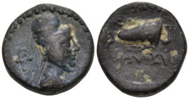 Greek
KINGS OF CAPPADOCIA. Ariarathes VI Epiphanes Philopator (Circa 118/7-106/5 BC). Eusebeia.
AE Bronze (14.9mm 3.18g)
Obv: Diademed and draped b...