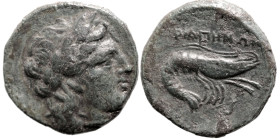 Greek
MYSIA. Priapos. (Circa 1st century BC).
AE Bronze (19mm 5.61g)
Obv: Laureate head of Apollo right.
Rev: ΠPΙΑΠΗΝΩΝ. Crayfish right; bow below...