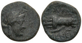 Greek
IONIA. Smyrna. (75-50 BC). Menekr-, magistrate.
AE Bronze (18mm 1.9g)
Obv: Laureate head of Apollo right.
Rev: ΖMYPN / MENEKP. Hands in caes...