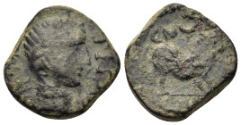 Spain, Castulo, mid 2nd century BC. Æ Quadrans (20mm, 10g). Laureate male head r. R/ Boar standing r. ACIP 2124 (R6); CNH 21; SNG BM Spain 1295-6.