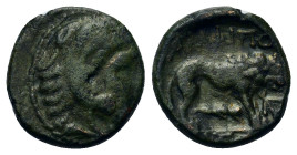 Macedon, Amphipolis. Time of Philip V (221–179 BC). Æ (14,5mm, 3.00g). Head of Herakles right, wearing lion's skin headdress. R/[A]MΦIΠ[O]ΛITΩN, lion ...