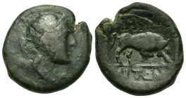 Macedon, Amphipolis. c. 187-168/7 BC. Æ (21mm, 9.40g). Draped bust of Artemis right; bow and quiver over shoulder; R/ΑΜΦΙΠΟΛΙΤΩΝ Bull butting right. V...