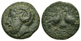 Macedon. Aphytis. c. 187-179 BC. Æ Dichalkon (16 mm, 3.77g). Head of Zeus Ammon right. R/AΦΥ around two confronted eagles. Ivy leaf on ground. Unpubli...