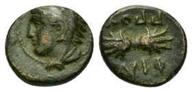 Kings of Macedon, Philip II (359-336). Æ (12,3mm, 1.75g). Uncertain mint in Macedon. Head of Herakles l. wearing lion skin. R/ Thunderbolt. SNG ANS 99...