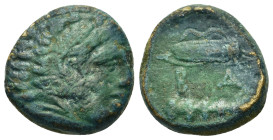 Kings of Macedon. Alexander III 'the Great' (336-323 BC). Æ (15mm, 4.57g), uncertain mint in Macedon, circa 325-310. Head of youthful Herakles to righ...