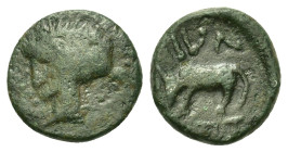 Thessaly, Larissa. Contemporary imitation(?). Æ (14mm, 2.50g). Female head l. R/ Horse (?) grazing l.