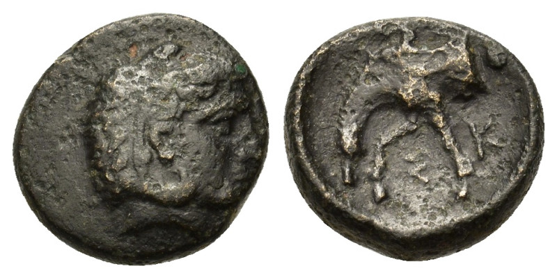 Thessaly, Skotussa, early 4th century BC. Æ (13,4mm, 3.2 g). Head of young Herak...