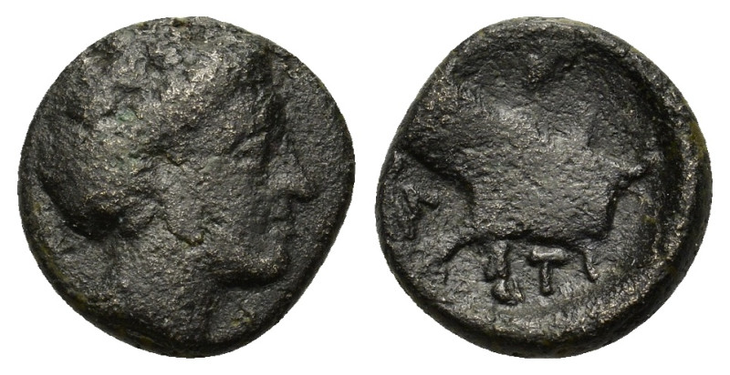 Euboia, Histiaia, c. 338-304 BC. Æ (13,1mm, 2.07g). Head of the nymph Histiaia r...