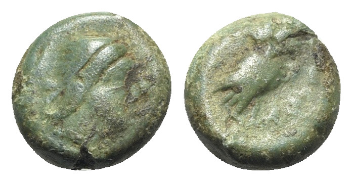 Uncertain mint, c. 4th-3rd century BC. Æ (10mm, 1.42g, 6h). Head r. R/ Owl stand...