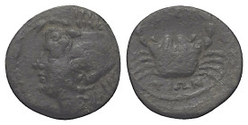 Bruttium. Brettii.

 Bronze. Ca. 216 - 214 v. Chr.
Vs: Kopf einer weiblichen Meeresgottheit (Amphitrite ?) mit Krabbenkopfbedeckung links.
Rs: Kra...