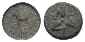 Pisidien. Adada.

 Bronze. Ca. 375 - 330 v. Chr.
Vs: Bukranion mit herabhängenden Girlanden.
Rs: Triskeles.

13 mm. 2,18 g. 

SNG Paris 1022....