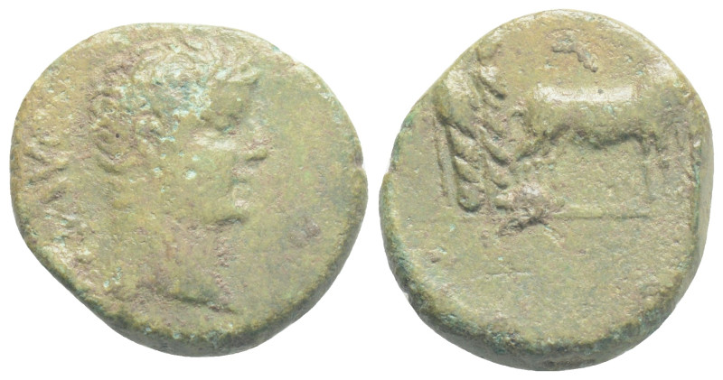 Roman Provincial, Augustus (27 BC-AD 14) AE Bronze (18,3 mm, 3,6 g)
Obv: AVG Ba...