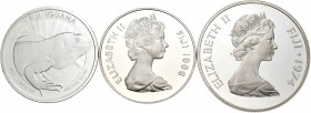 Fiji. Lote de 3 monedas de plata de Fiji diferentes. A EXAMINAR. PROOF. Est...60,00.