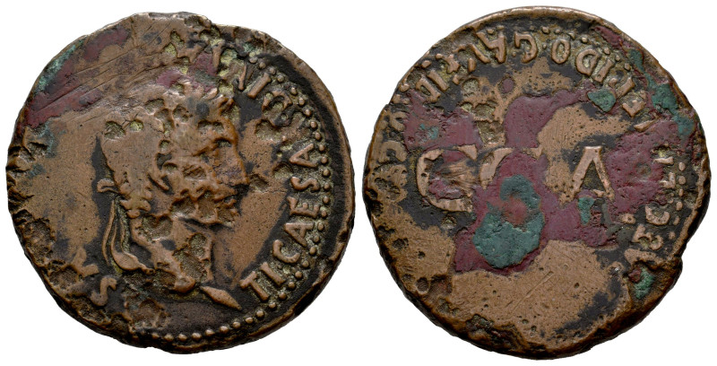 Caesar Augusta. Época de Tiberio. Sestercio. 14-36 d.C. Zaragoza. (Abh-348). (Ac...