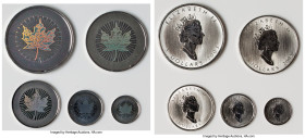 Elizabeth II 5-Piece Uncertified silver Hologram "Maple Leaf" Mint Set 2003 UNC, 1) 5 Dollars (1 oz) 2) 4 Dollars (1/2 oz) 3) 3 Dollars (1/4 oz) 4) 2 ...