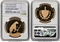 Republic gold Proof "Chalicotherium" 200 Pesos 1993 PR68 Ultra Cameo NGC, KM544. Mintage: 100. HID09801242017 © 2023 Heritage Auctions | All Rights Re...