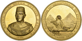 Egypt, Exposition Internationale du Progrès, Cairo, 1895, bronze-gilt medal in high relief, by Stefano Johnson, bust of the Khedive threequarters left...