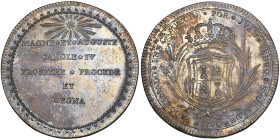 Mexico, Carlos IV, Proclamation in Campeche, 1790, silver medal, unsigned, legend beneath starburst, rev., crowned Spanish shield with palms, PROCLAMA...