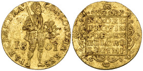 Low Countries, Batavian Republic, ducat, 1801, Utrecht issue, 3.42g (F. 318), some surface deposit and minor marks, very fine to good very fine

Est...
