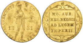 Poland, Revolution, ducat, 1831, Warsaw mint, 3.45g (F. 114), trace of mounting, otherwise generally good fine

Estimate: 250 - 350