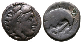 Kings of Macedon. Uncertain mint. Amyntas III 393-369 BC. Bronze Æ